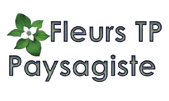 Fleurs TP